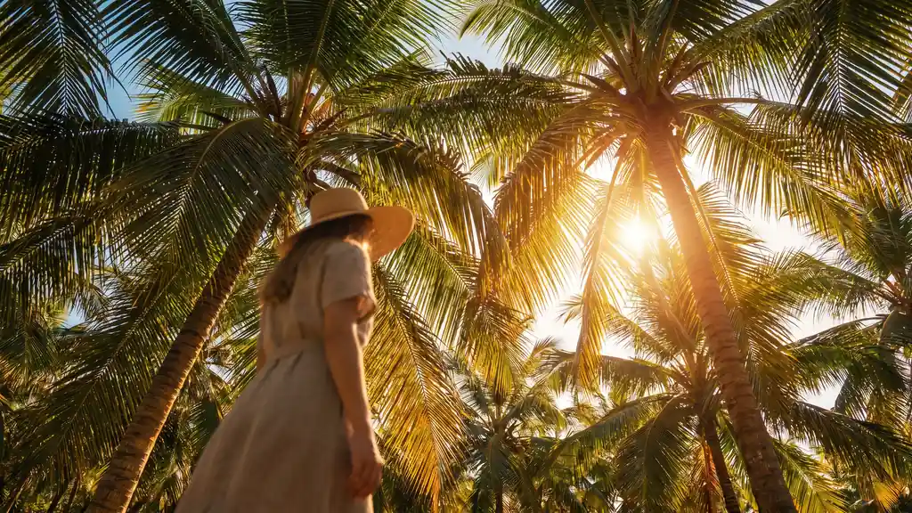 Sol entre a vegetação nativa da Mata Atlântica em Trancoso, Bahia