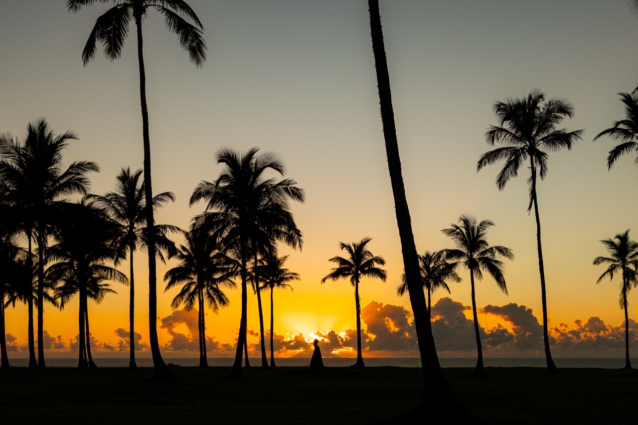 Coqueiros em silhueta ao pôr do sol em Trancoso, no litoral sul da Bahia