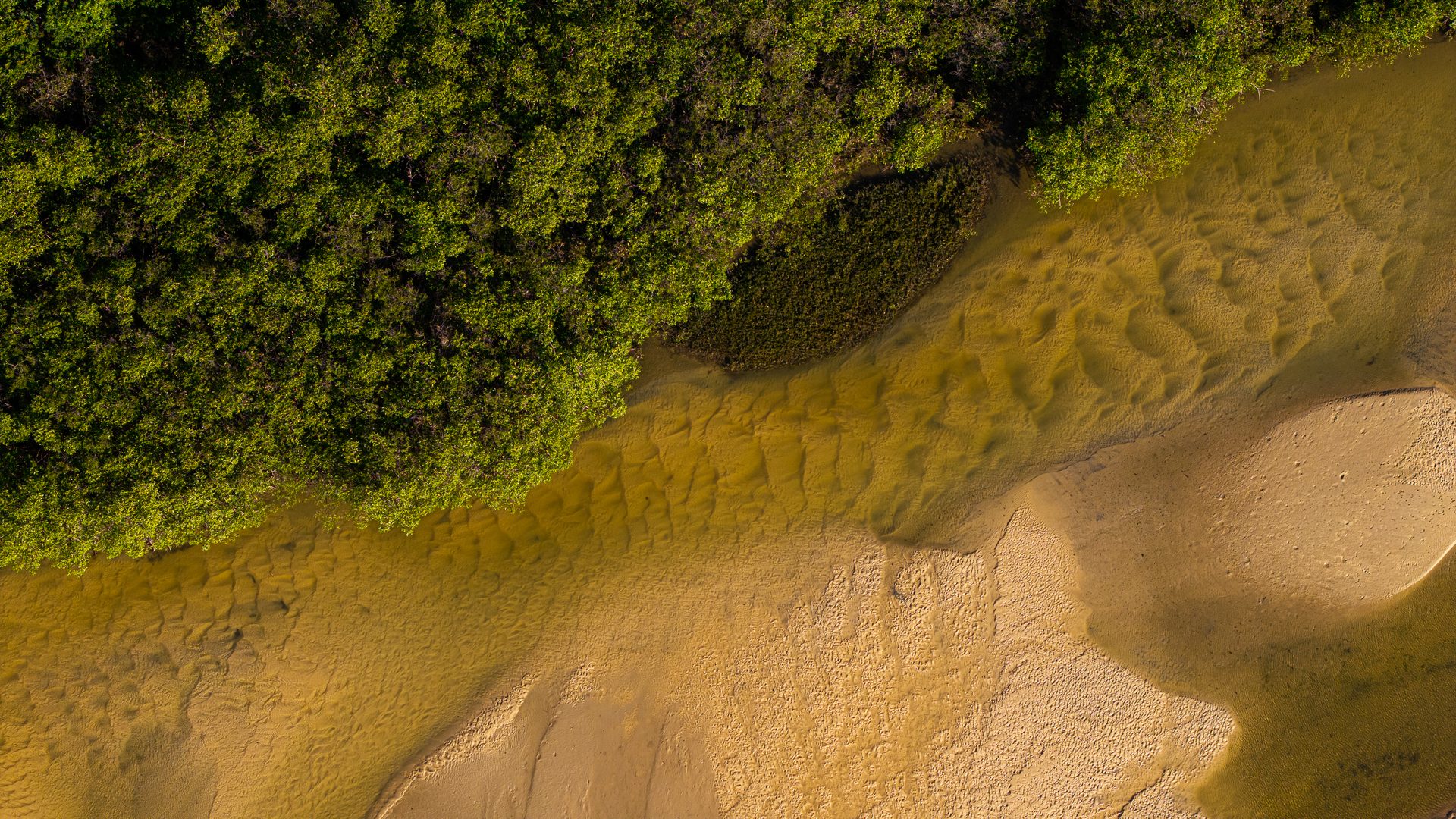 Banco de areia e águas rasas, vista aérea, Trancoso, Taípe