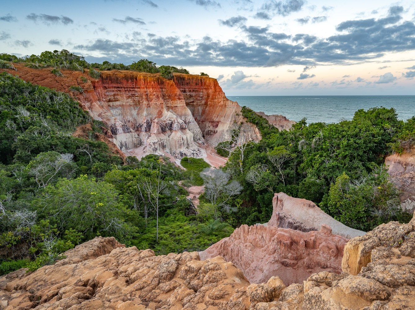 Falésias cobertas de vegetação nativa, Trancoso, Bahia, imagem meramente ilustrativa