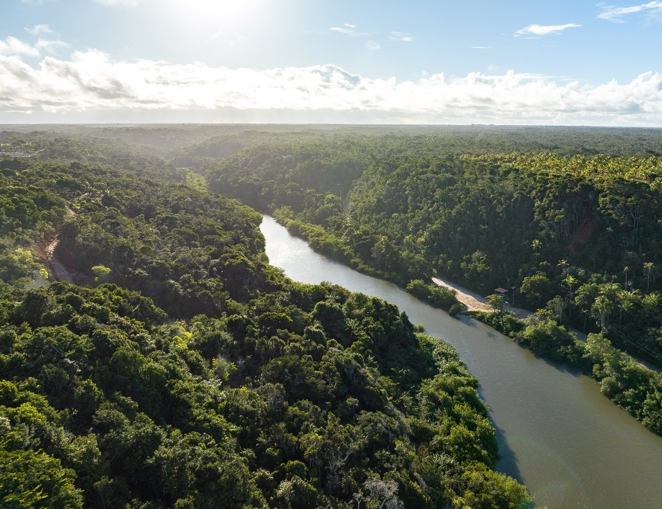 Rio contornado pela mata atlântica, Trancoso, Bahia, imagem meramente ilustrativa