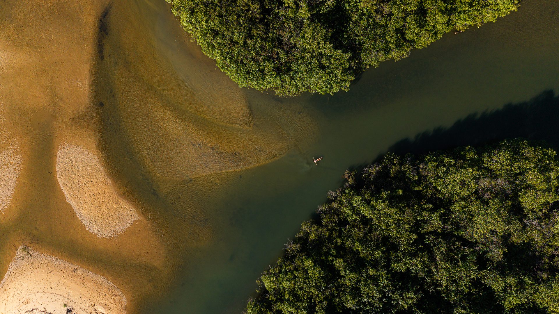 Rio e vegetação nativa vistos do alto em Taípe, Trancoso