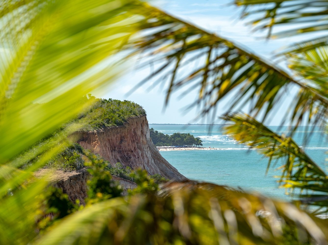 Falésia emoldurada pelas folhas de um coqueiro, Trancoso, Bahia, imagem meramente ilustrativa