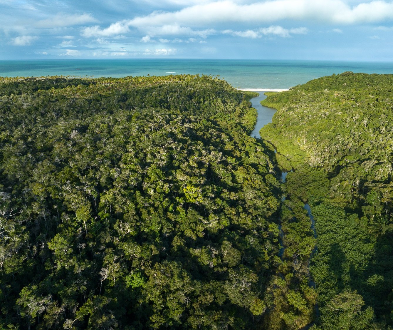 Mata atlântica densa encontrando a praia, Trancoso, Bahia, imagem meramente ilustrativa