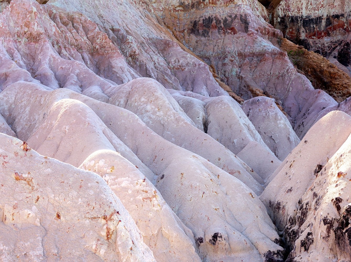 Relevo esculpido do arenito e a vegetação que o cobre, Trancoso, Bahia, imagem meramente ilustrativa
