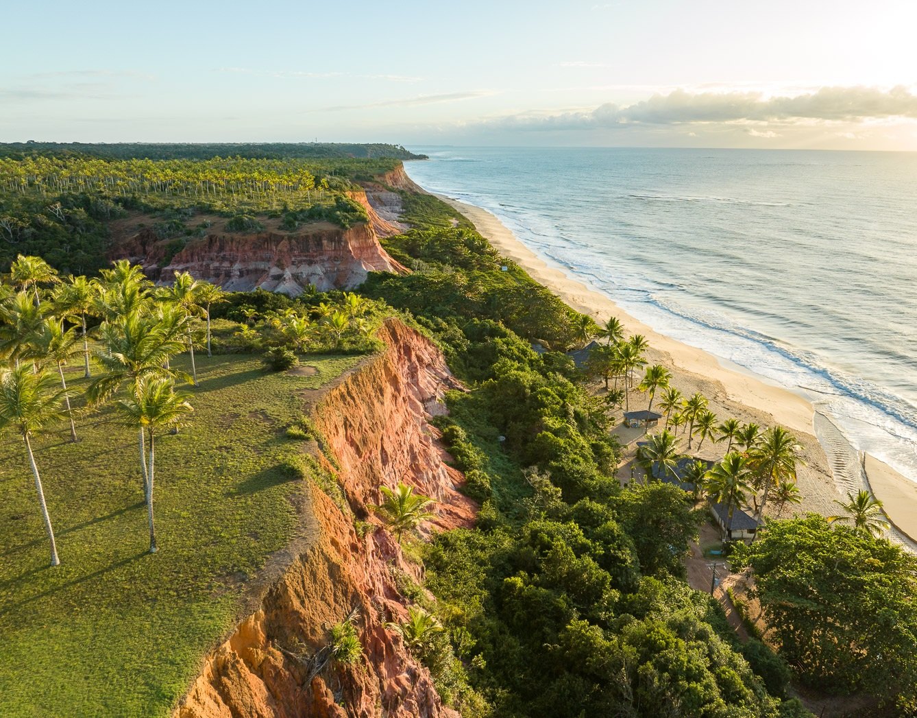 Coqueiros sobre a falésia diante do mar, Trancoso, Bahia, imagem meramente ilustrativa