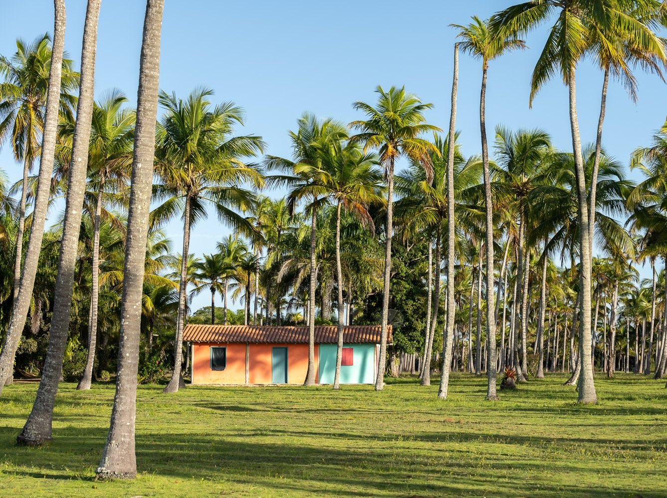 Casa entre coqueiros e gramado à beira-mar, Trancoso, Bahia, imagem meramente ilustrativa