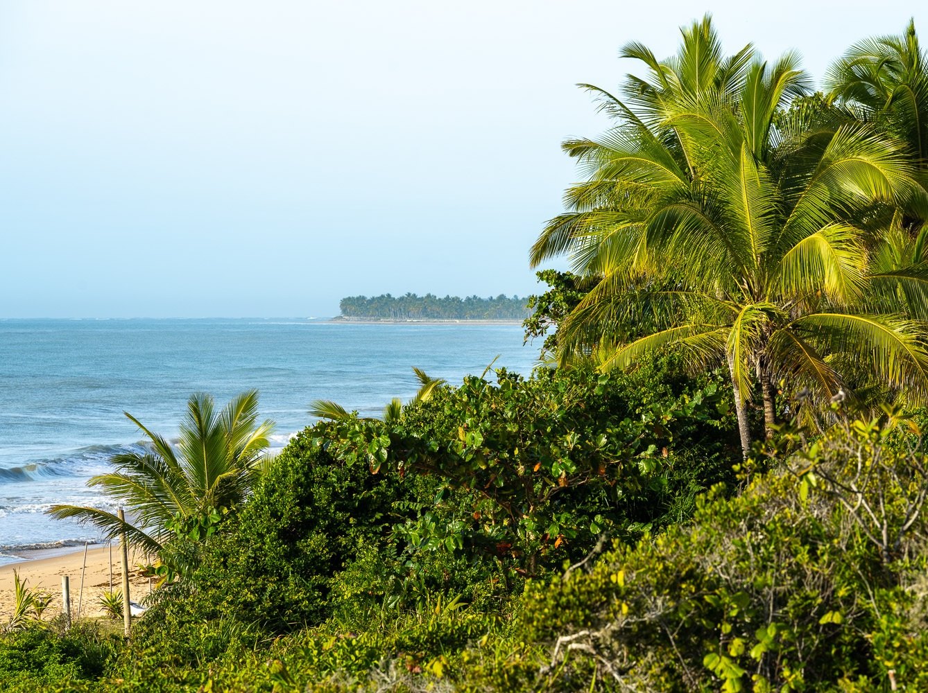 Coqueiros debruçados sobre o mar, Trancoso, Bahia, imagem meramente ilustrativa